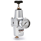 IW Filter Regulator